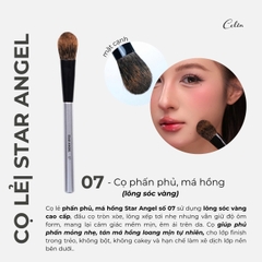 Cọ Lẻ Celin  Star Angel