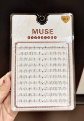 (MI DƯỚI) Lông Mi Giả Mi Nâu Muse