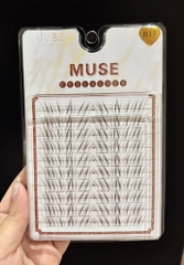 (Mi Nâu)Lông Mi Giả Mi Chùm Muse