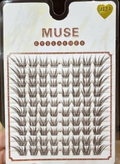 (Mi Nâu)Lông Mi Giả Mi Chùm Muse