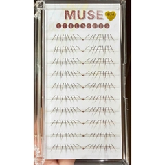 (MI DƯỚI) Lông Mi Giả Mi Nâu Muse