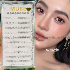 Lông Mi Giả Tách Sợi Mi Chùm Muse