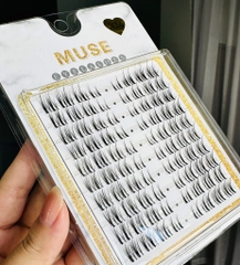 Lông Mi Giả Tách Sợi Mi Chùm Muse