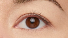 Chuốt Mi Maybelline Great Lash Mascara