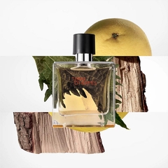 Nước Hoa Nam HERMES Terre d’Hermes Eau de Toilette