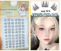 Lông Mi Giả  Lông Mi Chùm WangJia