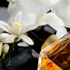 Nước Hoa Nữ Yves Saint Laurent Libre Intense