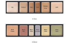 Bảng Che Khuyết Điểm Jung Saem Mool Artist Concealer Palette