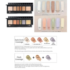 Bảng Che Khuyết Điểm Jung Saem Mool Artist Concealer Palette