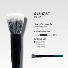 Cọ Lẻ Selia Thân Gỗ Công Nghiệp Lông Mềm