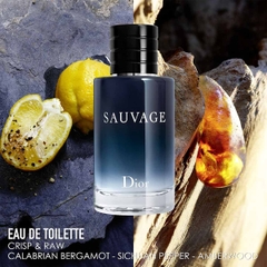 Nước Hoa Nam Dior Sauvage Eau de Toilette
