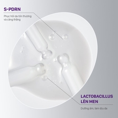 Tinh Chất Serum PDRN Căng Bóng Sáng, Hỗ Trợ Tái Sinh CNP Derma Answer Active Boost Ampule