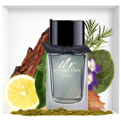 Nước hoa nam Mr. Burberry Indigo EDT