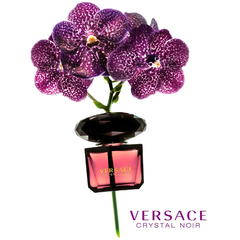 Nước Hoa Nữ Versace Crystal Noir EDT
