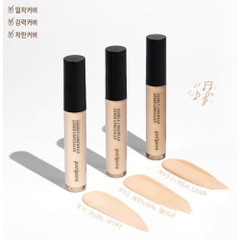 Che Khuyết Điểm Peripera Double Longwear Cover Concealer