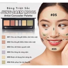 Bảng Che Khuyết Điểm Jung Saem Mool Artist Concealer Palette