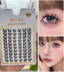 Lông Mi Giả Tách Sợi Mi Chùm Muse