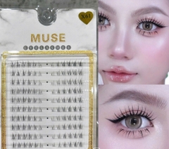 (Mi Dưới) Lông Mi Giả , Mi Chùm . Mi Gân Trong Muse