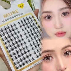 Lông Mi Giả Tách Sợi Mi Chùm Muse