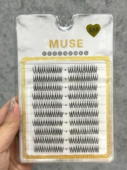 Lông Mi Giả Tách Sợi Mi Chùm Muse