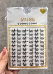 Lông Mi Giả Tách Sợi Mi Chùm Muse