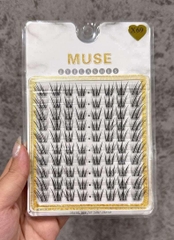 Lông Mi Giả Tách Sợi Mi Chùm Muse