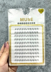 Lông Mi Giả Tách Sợi Mi Chùm Muse