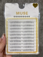 Lông Mi Giả Tách Sợi Mi Chùm Muse