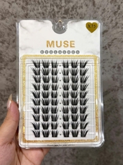 Lông Mi Giả Tách Sợi Mi Chùm Muse