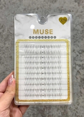 Lông Mi Giả Tách Sợi Mi Chùm Muse