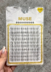 Lông Mi Giả Tách Sợi Mi Chùm Muse