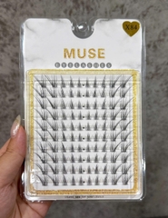 Lông Mi Giả Tách Sợi Mi Chùm Muse