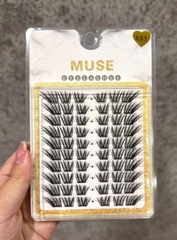 Lông Mi Giả Tách Sợi Mi Chùm Muse