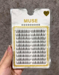 Lông Mi Giả Tách Sợi Mi Chùm Muse
