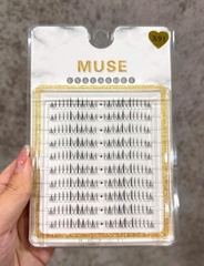 Lông Mi Giả Tách Sợi Mi Chùm Muse