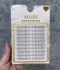 Lông Mi Giả Tách Sợi Mi Chùm Muse