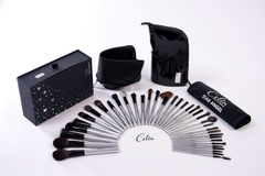 Bộ Cọ Trang điểm Chuyên Nghiệp Celin Star Angel 36  Lông hú Cao Cấp