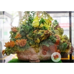 Bách Phúc Tụ Tài