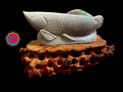 Long Ngọc Tụ Vinh - CÁ RỒNG NGỌC PHỈ THÚY