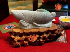 Long Ngọc Tụ Vinh - CÁ RỒNG NGỌC PHỈ THÚY