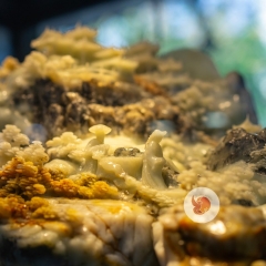 Ngọc Sơn Kỳ Thạch