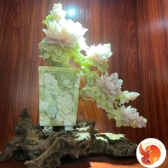 Bạch Ngọc Liên Hoa