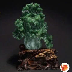 Bắp Cải - Lục Bảo Cát Tường