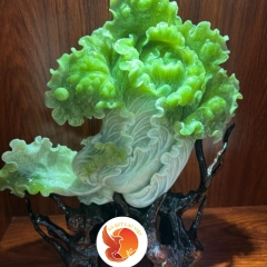 Bắp Cải Tài Lộc