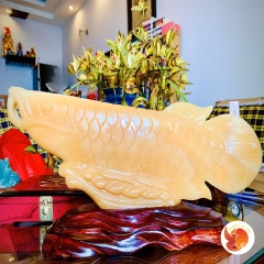 Cá Rồng Ngọc Hoàng Long