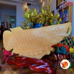 Cá Rồng Ngọc Hoàng Long