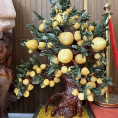 Cây Đào Tài Lộc