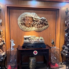 Cây Nấm Ngọc Onyx