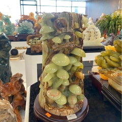 Cây Nấm Ngọc Onyx