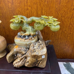 Cây Nấm Ngọc Onyx